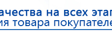 Пояс электрод купить в Горно-алтайске, Электроды Меркурий купить в Горно-алтайске, Нейродэнс ПКМ официальный сайт - denasdevice.ru